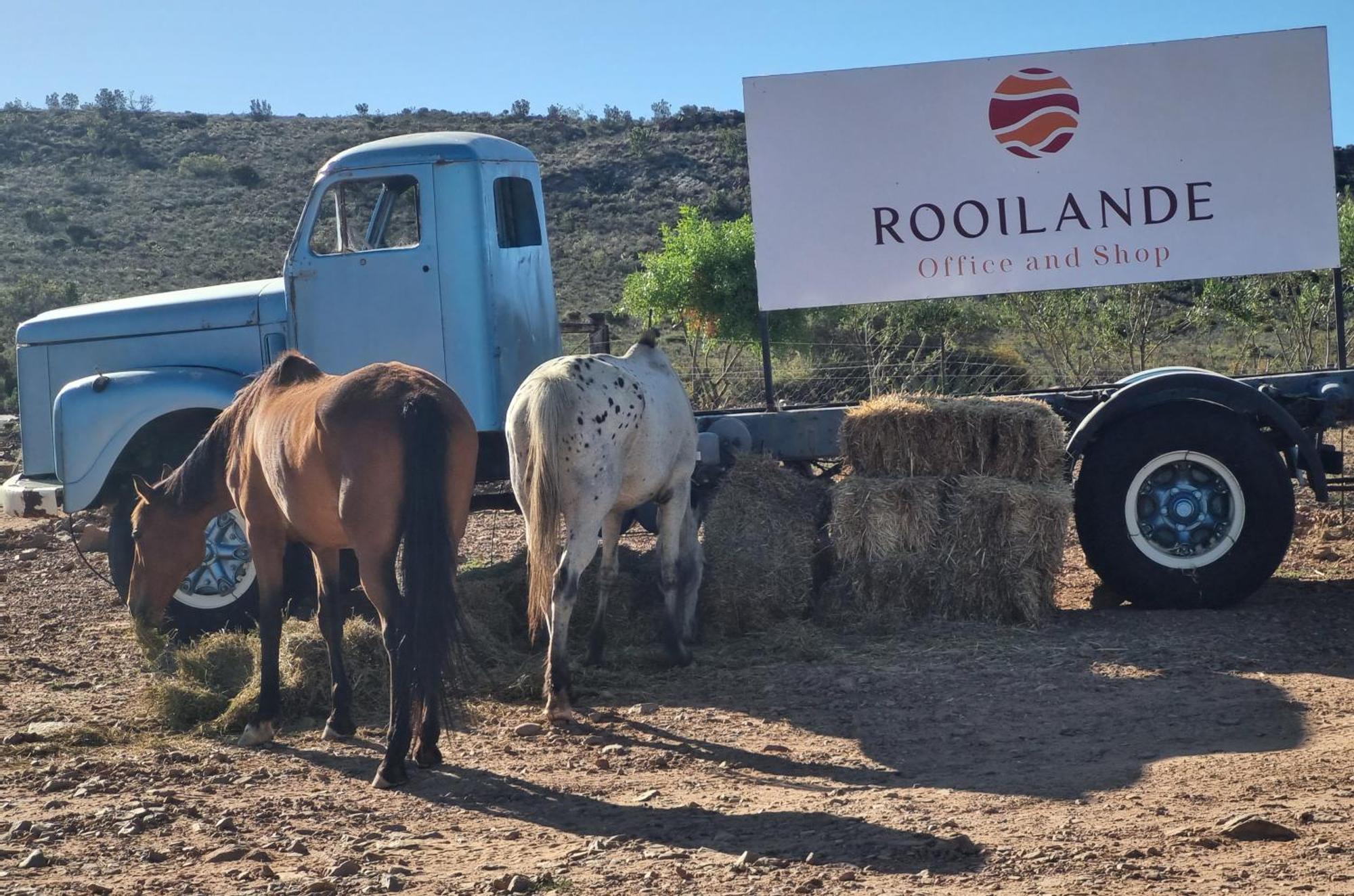 Апартаменти Rooilande Guest Farm Laingsburg Екстер'єр фото