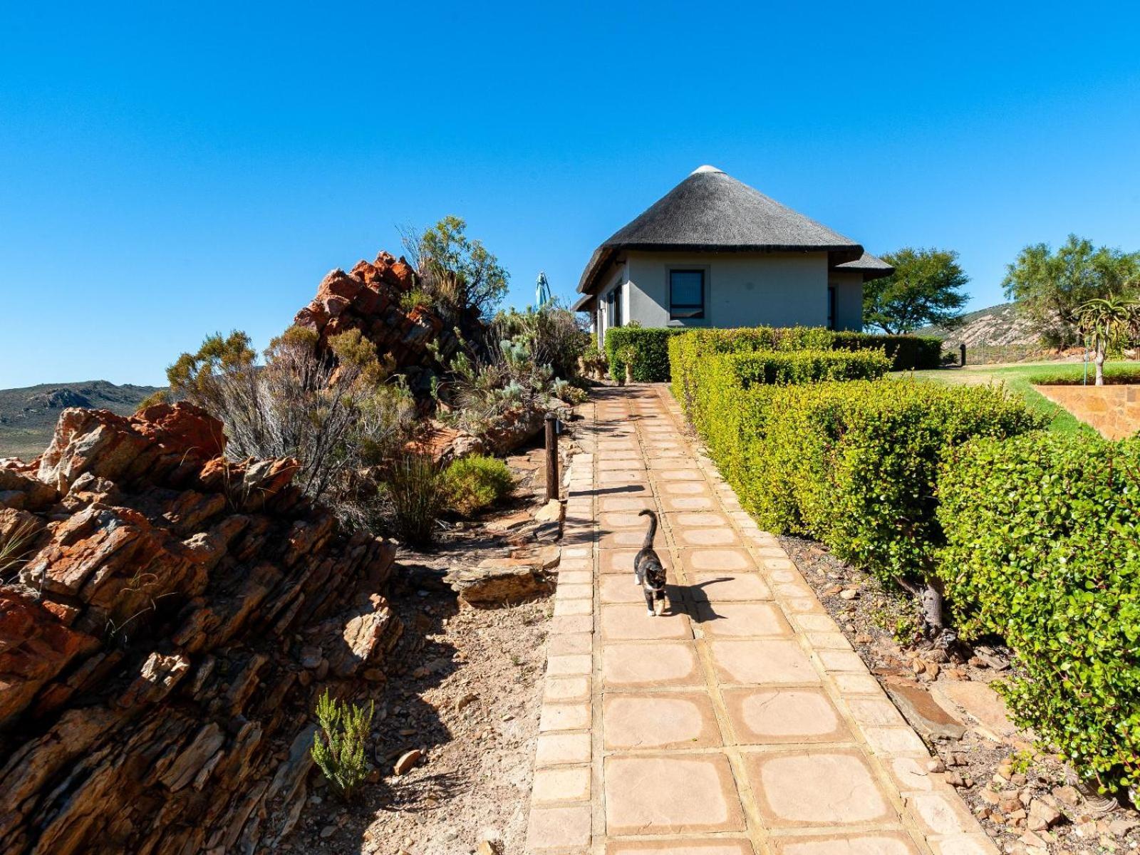 Апартаменти Rooilande Guest Farm Laingsburg Екстер'єр фото